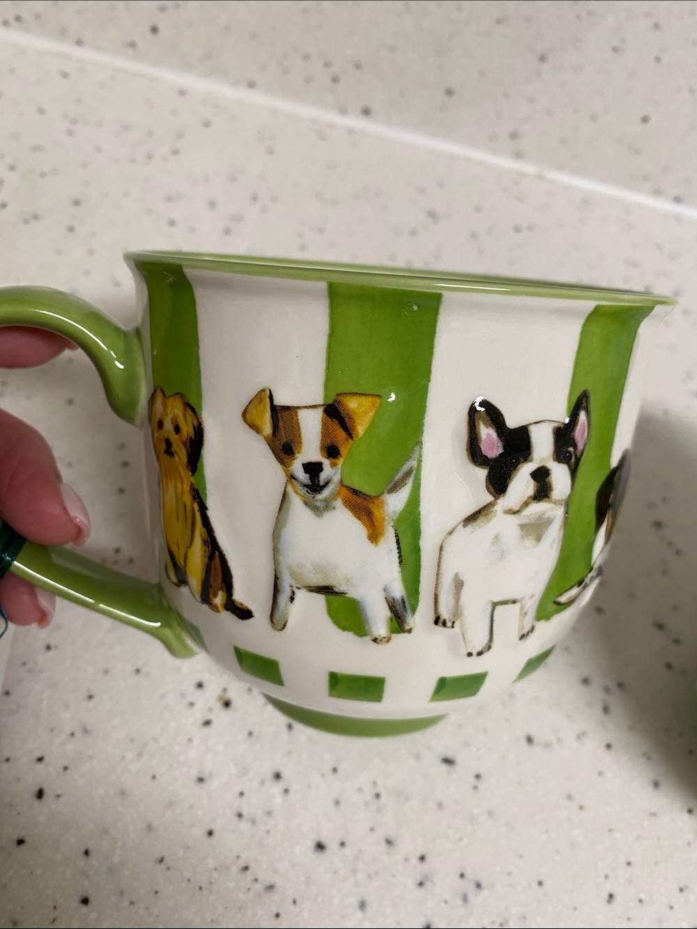 NWT.  Set of 2, Mellow & Mod, 20oz., ceramic mugs.